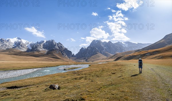 Mountaineer hiking to the mountain lake Kol Suu, mountain landscape with yellow meadows, river Kol Suu and mountain peaks with glacier, Keltan Mountains, Sary Beles Mountains, Tien Shan, Naryn Province, Kyrgyzstan, Asia