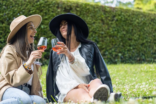 Portrait of beautiful smiling women in hats toasting and drinking wine in park