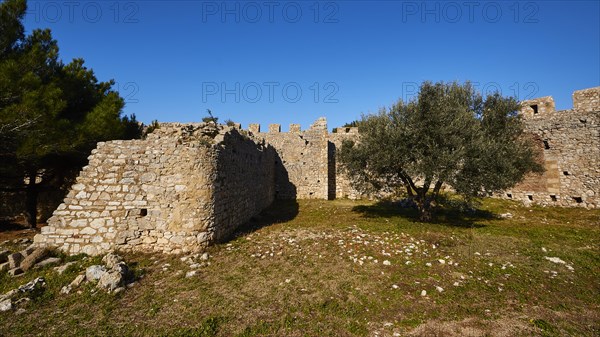 Part of the fortress wall surrounded by trees and grass, Chlemoutsi, High Medieval Crusader castle, Kyllini peninsula, Peloponnese, Greece, Europe