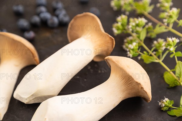 King Oyster mushrooms or Eringi (Pleurotus eryngii) on black concrete background with blueberry, herbs and spices. Side view, selective focus