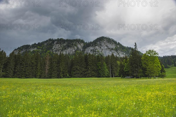 Summer austrian landscape with green meadows and impressive mountains, view from small alpine village Tauplitz, Styria region, Austria, Europe