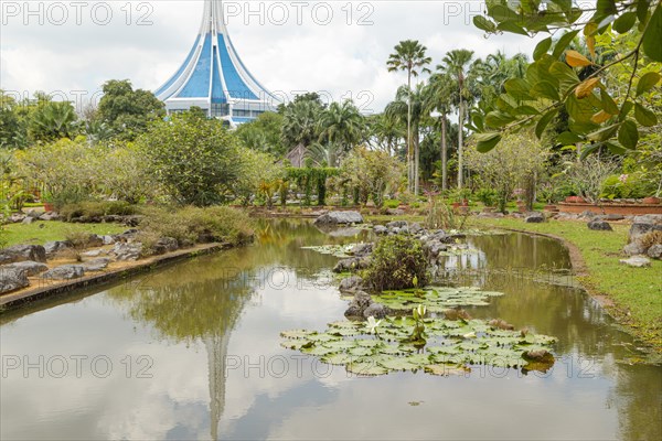 Palm collection in city park in Kuching, Malaysia, tropical garden with large trees, pond with small waterfall, waterlily, gardening, landscape design. Daytime with cloudy blue sky, Asia
