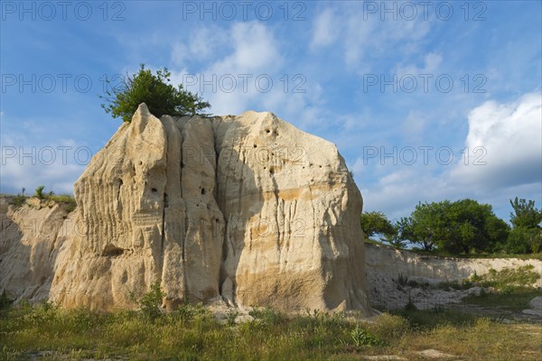 A solitary sandstone rock formed by erosion with a tree on top under a blue sky with clouds, mountain with breeding caves of bee-eaters, Vladimirovo, Dobrich, Black Sea, Bulgaria, Europe
