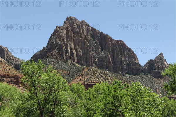 Rock formations, landscape in Zion National Park, Utah, America, USA, North America