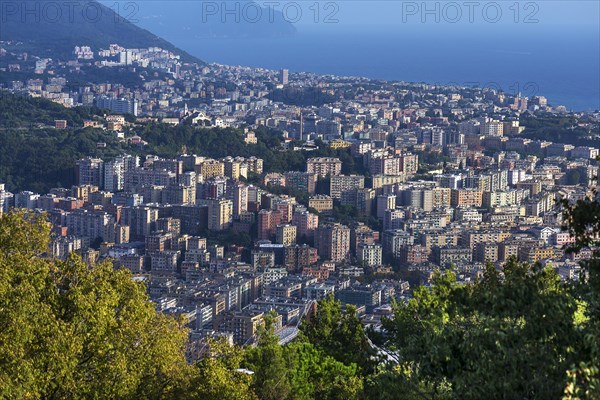 View of the city and the Ligurian Sea from Granarolo, Genoa, Italy, Europe