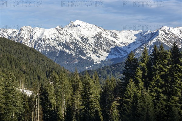 View of Rubihorn, Geissalphorn, Nebelhorn and Schattenhorn, Oberallgaeu, Allgaeu, Bavaria, Germany, Europe