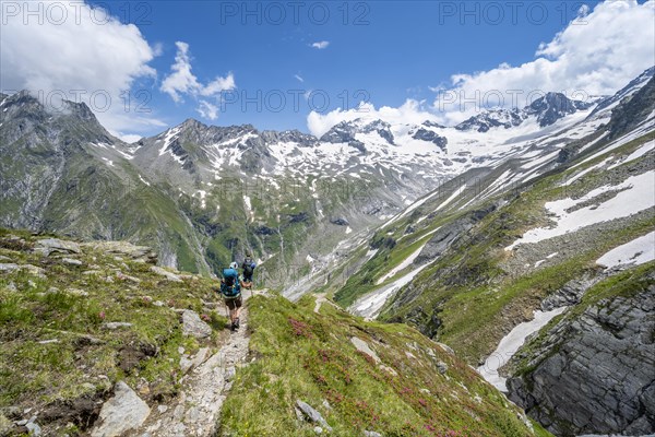 Mountaineer on hiking trail in picturesque mountain landscape, in the background mountain peak Grosser Loeffler and Oestliche Floitenspitze with glacier Floitenkees, valley Floitengrund, Berliner Hoehenweg, Zillertal Alps, Tyrol, Austria, Europe