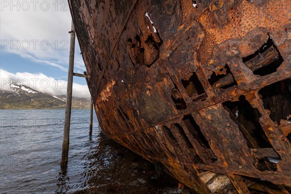 Rusty ship, shipwreck, abandoned herring factory Djupavik, Reykjarfjoerour, Strandir, Arnes, Westfjords, Iceland, Europe