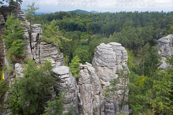 Majestic rock formations rise up in the middle of a dense forest under a cloudy sky, Prachovske skaly, Prachov Rocks, Bohemian Paradise, Cesky raj, Czech Republic, Europe
