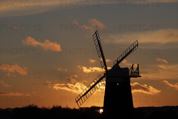 Windmill silhouetted at sunset with a red sky and clouds and a skein or flock of Pink-footed geese (Anser brachyrhynchus) flying above, Burnham Ovary Staithe, Norfolk, England, United Kingdom, Europe