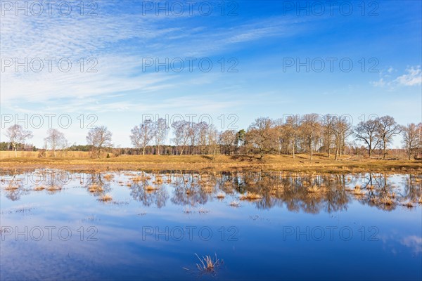 Flooded meadow by a wetland with water reflections in the water on a sunny spring day