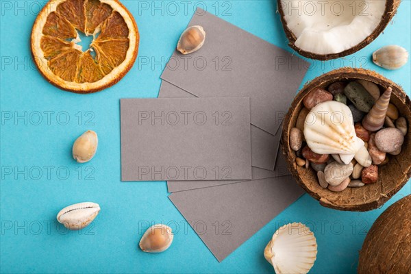Gray paper business card with coconut and seashells on blue pastel background. Top view, flat lay, copy space. Tropical, healthy food, vacation, holidays concept