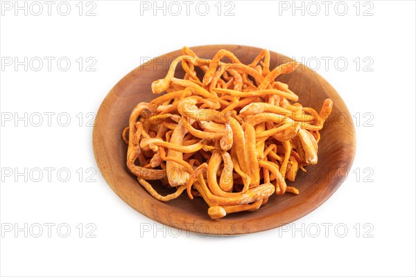 Fresh Cordyceps militaris mushrooms isolated on white background. Side view, copy space