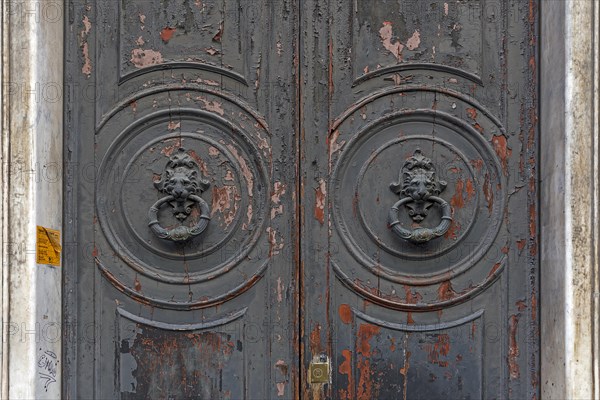 Two door knockers with lion heads on a large entrance door in the historic centre, Genoa, Italy, Europe