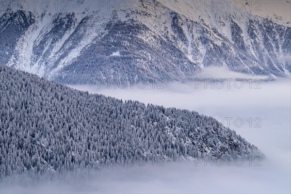Snow-covered trees and mountains rising above a layer of fog, Belalp, Naters, Brig, Canton Valais, Switzerland, Europe