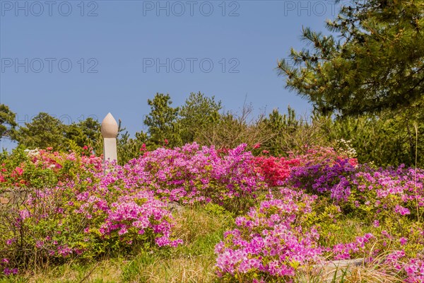 Top of war memorial behind flowerbed at nature park at Goseong Unification Observation Tower in Goseong, South Korea, Asia