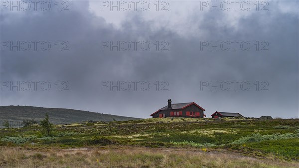 Shot of a hut in the rain, landscape format, log cabin, holiday home, Fjell, treeless plateau, Fjellhuette, plateau, wooden house, landscape, landscape photo, summer, clouds, secluded, remote, lonely, Uvdal, Viken, Norway, Europe