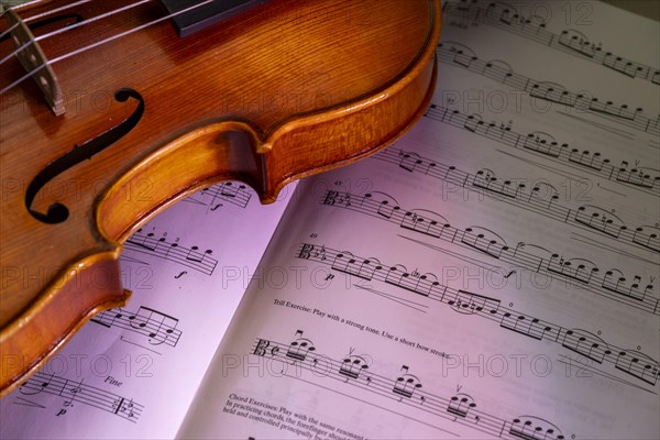 Detailed view of a violin with scroll and pegbox in front of sheet music, studio photograph, Germany, Europe