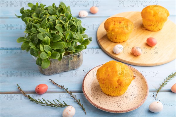 Homemade cakes with chocolate eggs and borage microgreen on a blue wooden background. side view, close up
