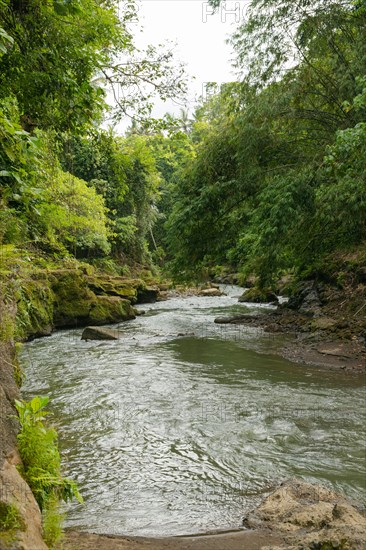 Uma Anyar waterfall, Bali island, Ubud, Indonesia. Jungle, tropical forest, daytime with cloudy sky