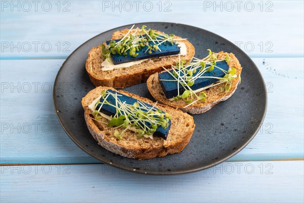 Bread sandwiches with blue lavender cheese and mustard microgreen on blue wooden background. side view, close up