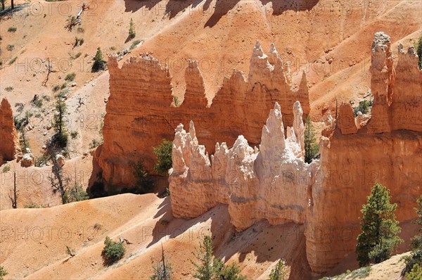 Trails at the canyon rim, Bryce Canyon National Park, Utah, USA, North America