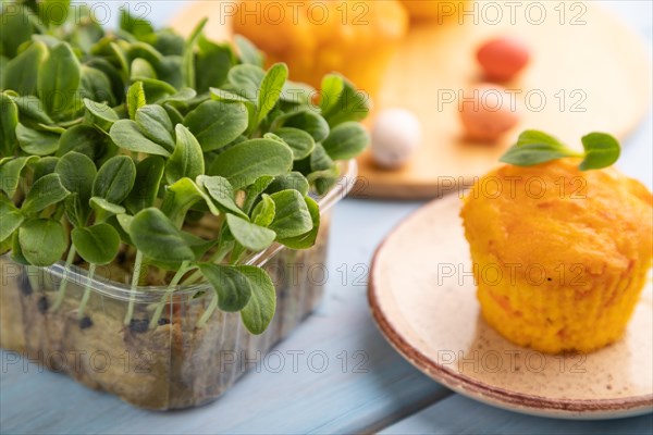 Homemade cakes with chocolate eggs and borage microgreen on a blue wooden background. side view, close up, selective focus