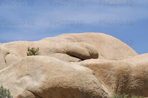 Monzogranite formations, Joshua Tree National Park, Palm Desert, Southern California, USA, North America