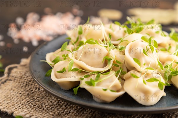 Dumplings with pepper, salt, herbs, microgreen on black concrete background and linen textile. Side view, close up, selective focus