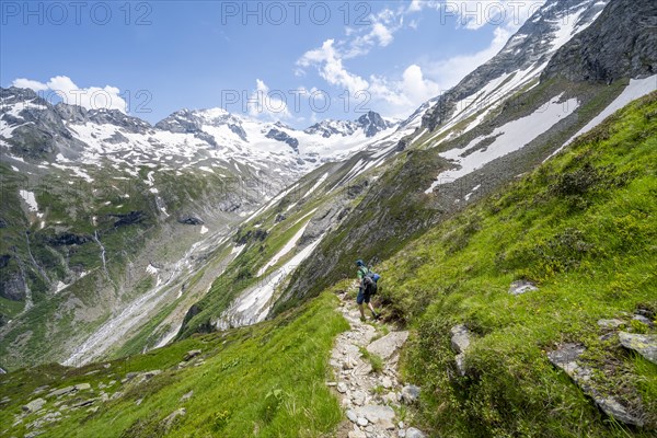 Mountaineer on hiking trail in picturesque mountain landscape, in the background mountain peak Grosser Loeffler and Oestliche Floitenspitze with glacier Floitenkees, valley Floitengrund, Berliner Hoehenweg, Zillertal Alps, Tyrol, Austria, Europe
