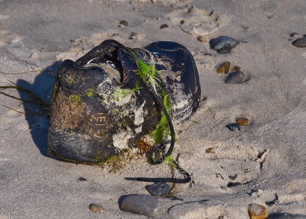 Stranded shoe on the beach in Houstrup, West Jutland, Denmark, Europe