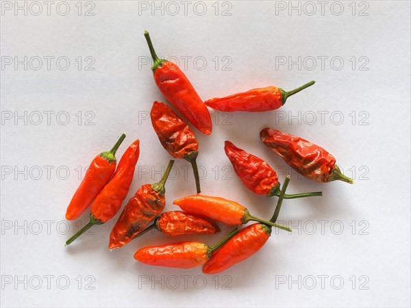 Hot Chili Peppers