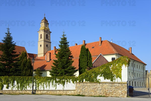 Elegant monastery with ivy and a tower surrounded by conifers against a blue sky, Franciscan Church of the Seven Sorrows and Franciscan Monastery, Skalica, Skalica, Trnavsky kraj, Slovakia, Europe