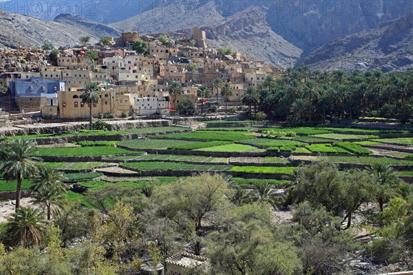 Village in Wadi Bani Awf, Oman, Asia
