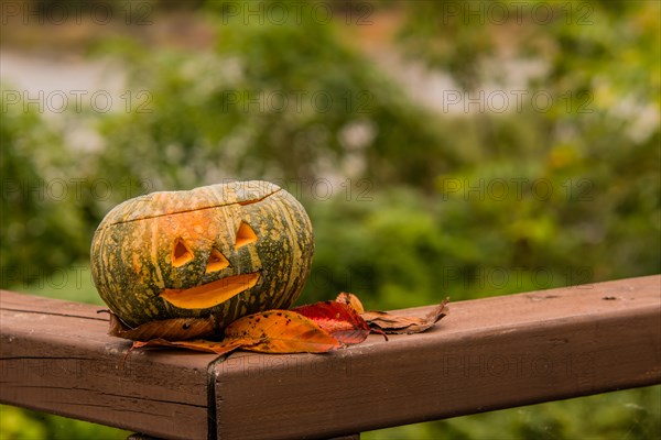 Jack-O-Lantern and fall leaves on wooden railing with blurred out background in South Korea