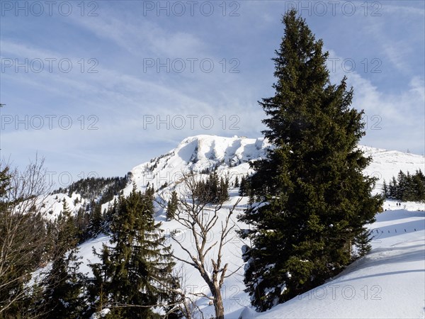 Winter landscape, view to the Schafberg, Sankt Wolfgang am Wolfgangsee, Salzkammergut, Upper Austria, Austria, Europe