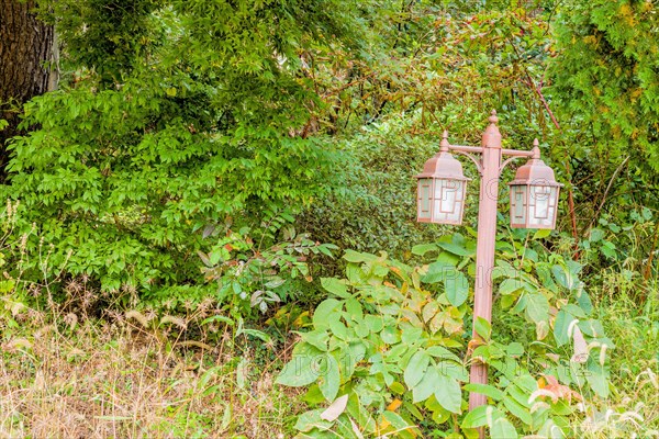 Lamppost with two lights in wilderness area with green bushes in background