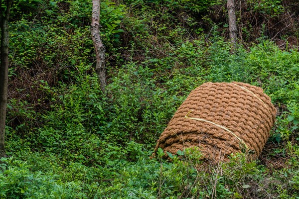 Closeup of thatch rope mat laying rolled up on ground in South Korea