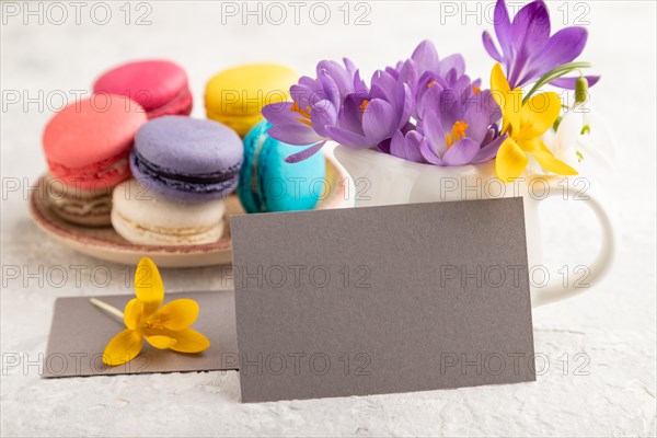 Gray paper business card mockup with spring snowdrop crocus flowers and multicolored macaroons on gray concrete background. Blank, business card, side view, copy space, still life. spring concept