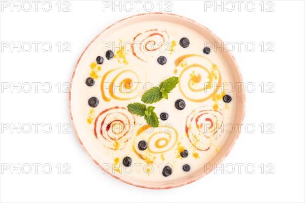 Yoghurt with bilberry and caramel in ceramic bowl isolated on white background. top view, flat lay, close up
