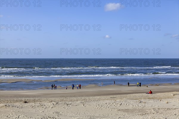 Beach and sea, walker, North Sea island of Texel, province of North Holland, Netherlands