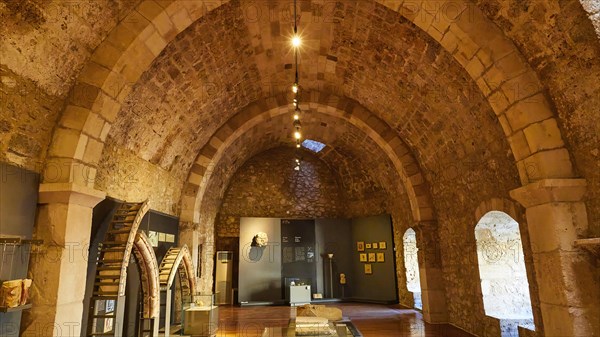 An exhibition room with vaulted ceiling in a historic stone construction, Museum, Chlemoutsi, High Medieval Crusader Castle, Kyllini Peninsula, Peloponnese, Greece, Europe