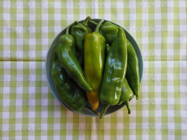 Green bell peppers vegetables