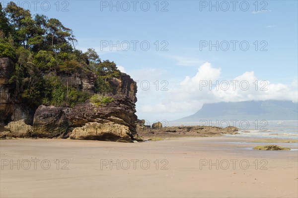 Cliff in Bako national park, sunny day, blue sky and sea. Vacation, travel, tropics concept, no people, Malaysia, Kuching, Asia