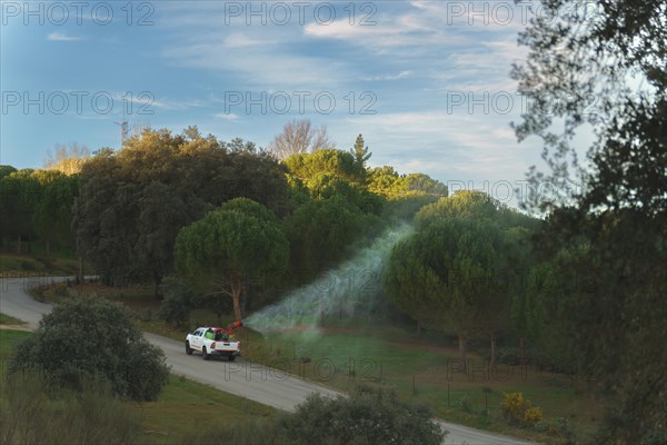 A vehicle sprays a pine forest against the processionary caterpillar pest, which is poisonous for dogs