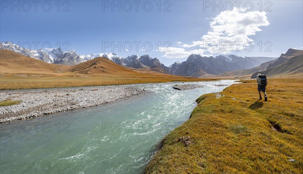 Mountaineer hiking to the mountain lake Kol Suu, mountain landscape with yellow meadows, river Kol Suu and mountain peaks with glacier, Keltan Mountains, Sary Beles Mountains, Tien Shan, Naryn Province, Kyrgyzstan, Asia