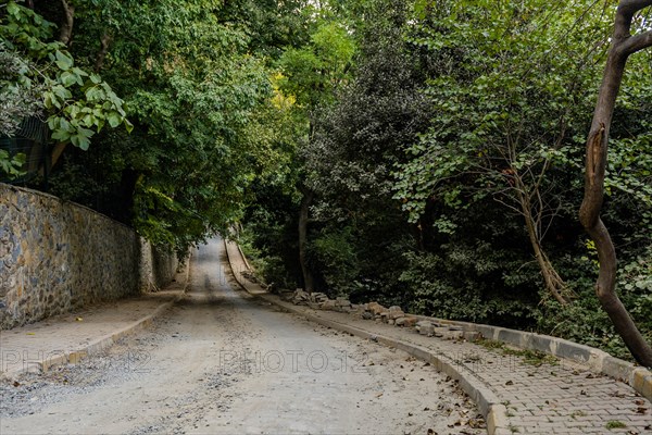 One lane rural road under treeline along old castle road in Istanbul, Tuerkiye