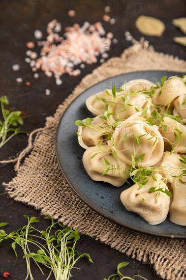 Dumplings with pepper, salt, herbs, microgreen on black concrete background and linen textile. Side view, close up, selective focus