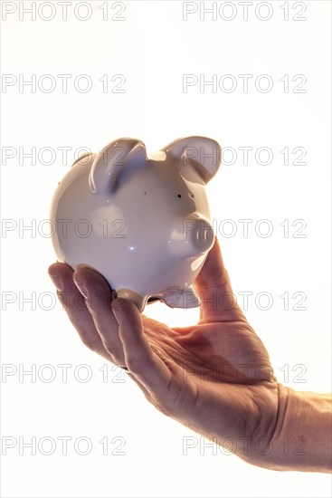 Hand of a man holding a white piggy bank in front of a white background, studio shot, Germany, Europe