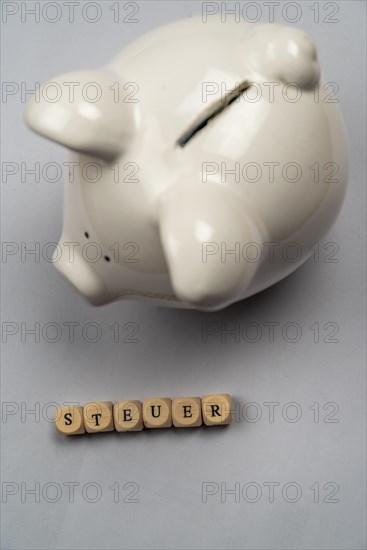 White piggy bank and tax lettering against a white background, top view, studio shot, Germany, Europe